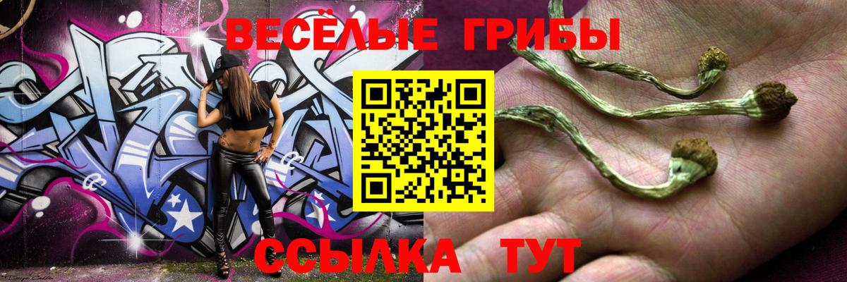 Псилоцибиновые грибы мицелий Гагарин