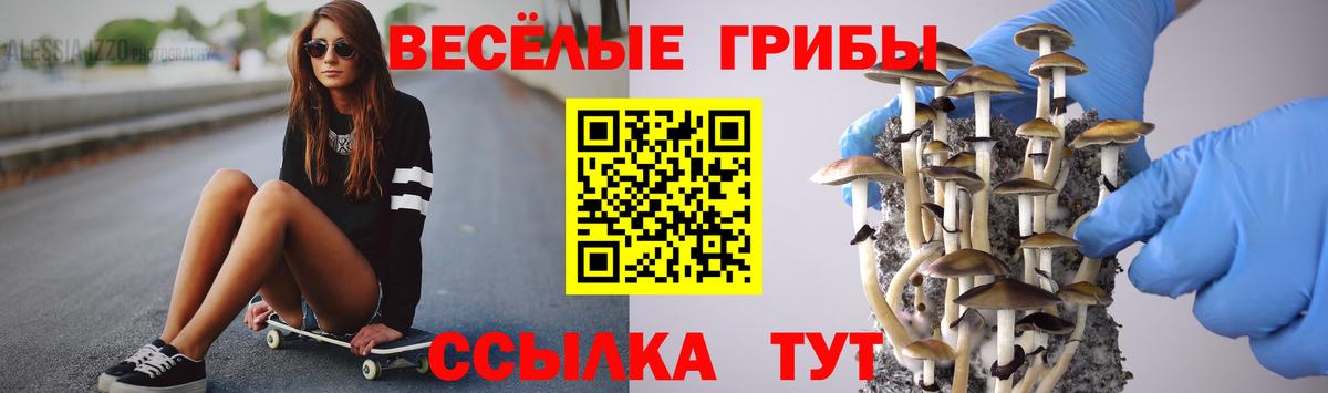 Гагарин  Псилоцибиновые грибы ЛСД  Вход с VPN 